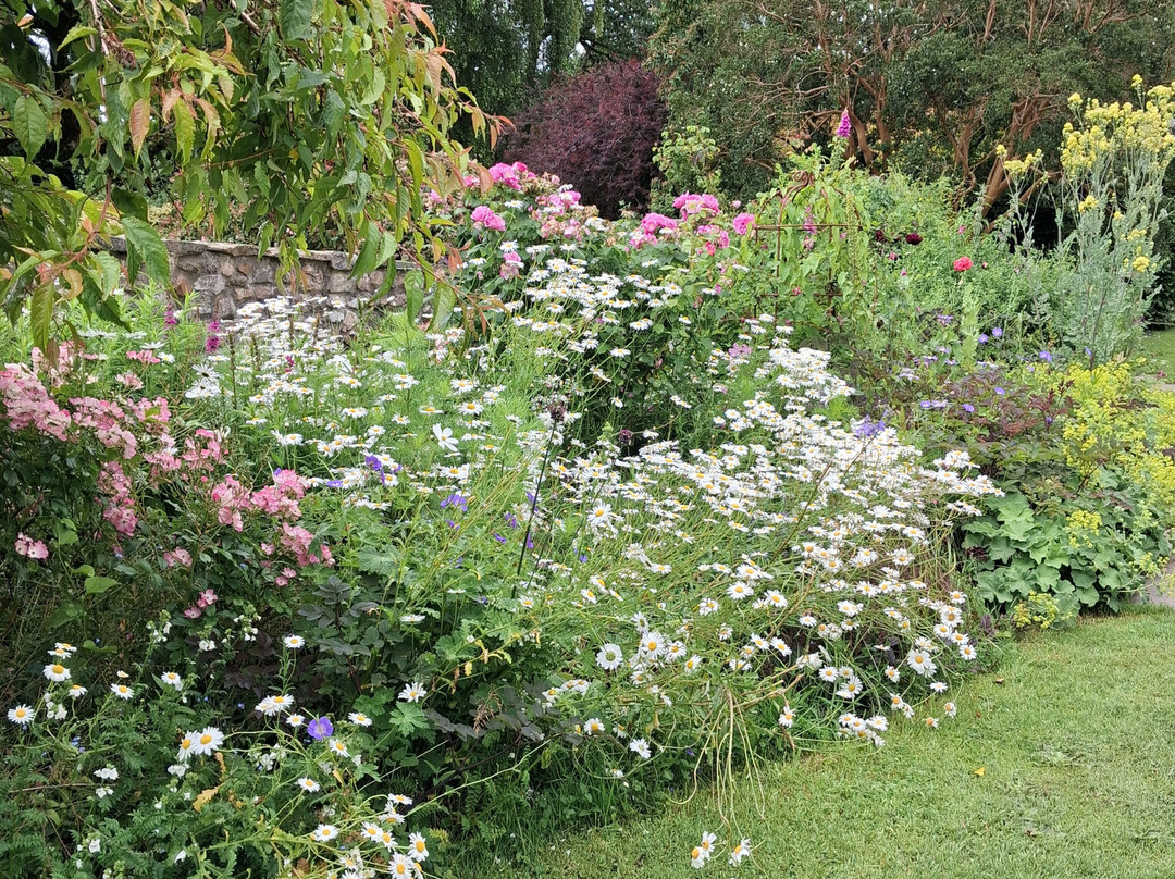 Burrow Farm Gardens-Dalwood必去景点