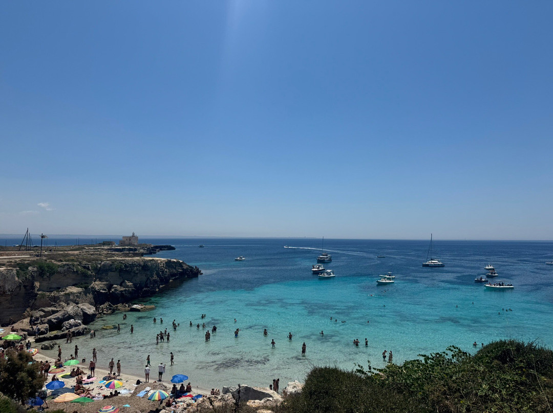 Scogliera Cala Azzurra-法维格纳纳必去景点