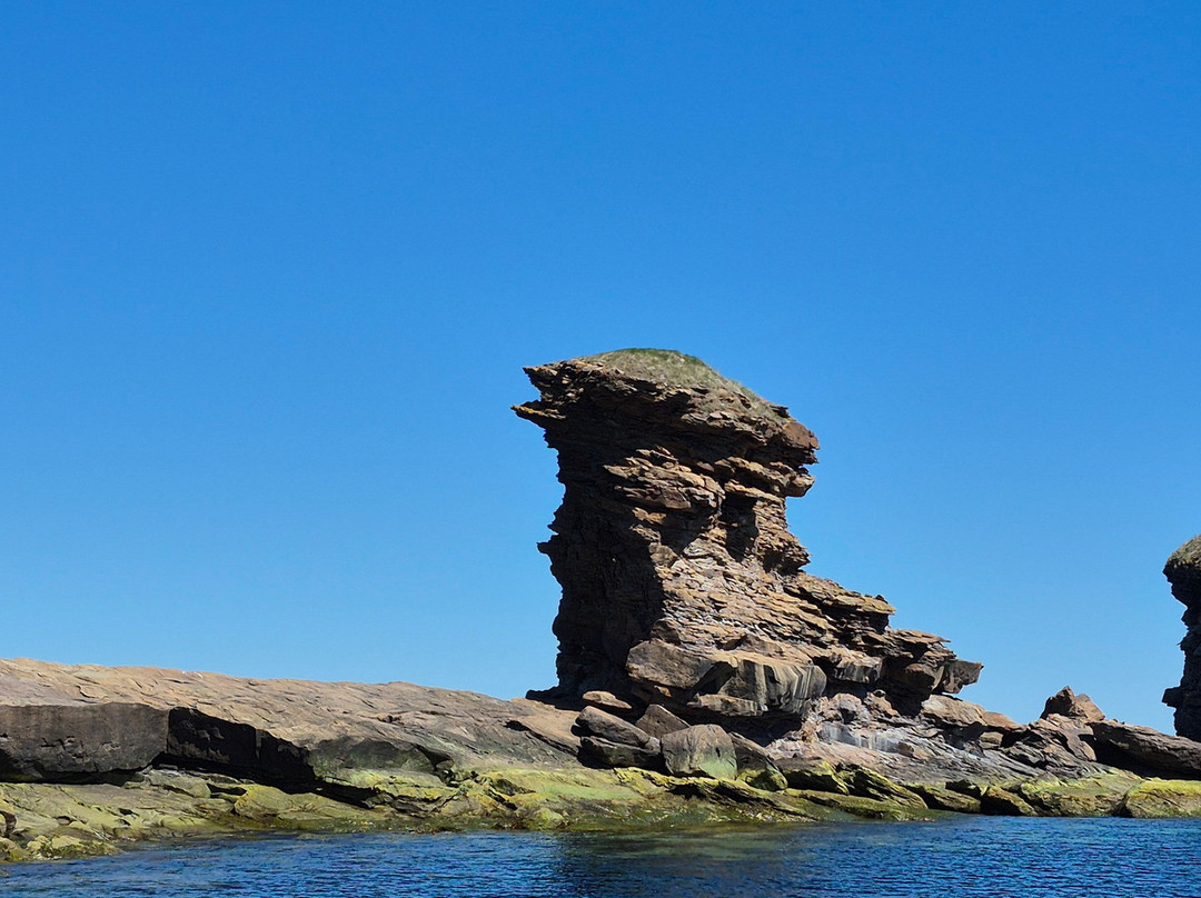 Bird Island Boat Tour-Big Bras d'Or必去景点