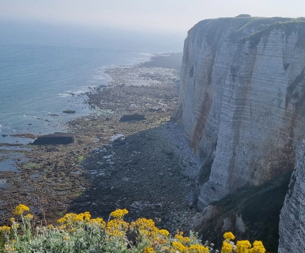 Les Falaises D Étretat-埃特勒塔必去景点