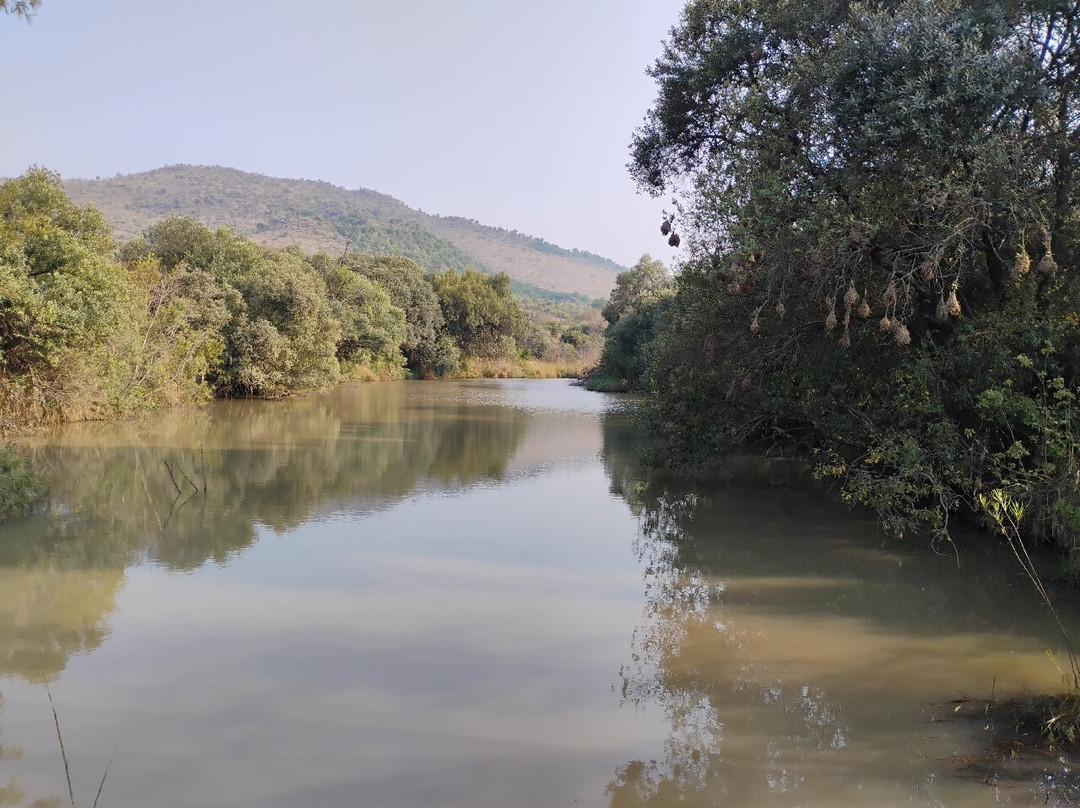 Pilanesberg National Park-太阳城必去景点