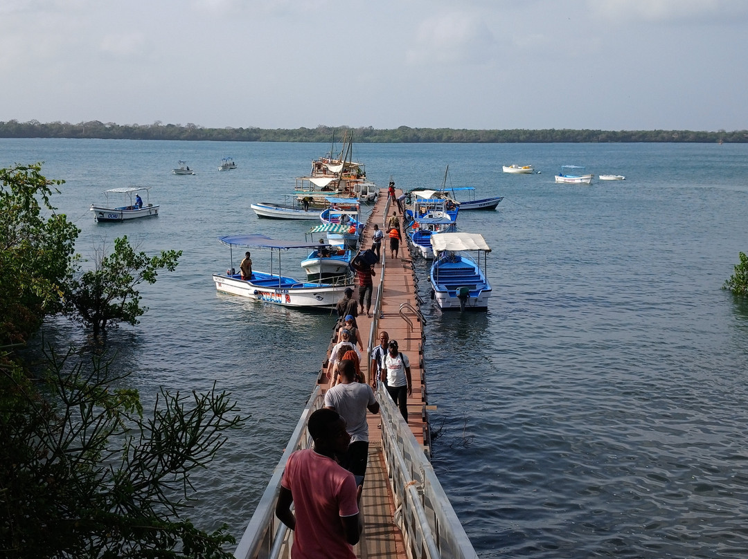Wasini sea safaris-Wasini Island必去景点