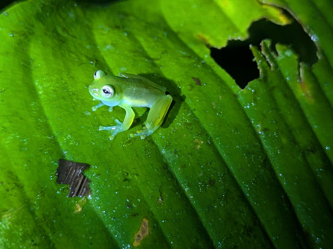 Jungle Life Costa Rica-Bijagua de Upala必去景点