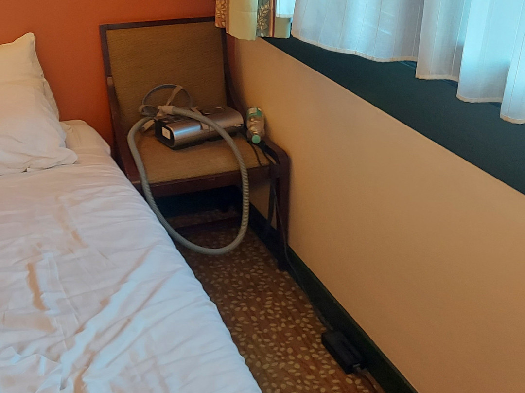 迪士尼红杉小屋®主图