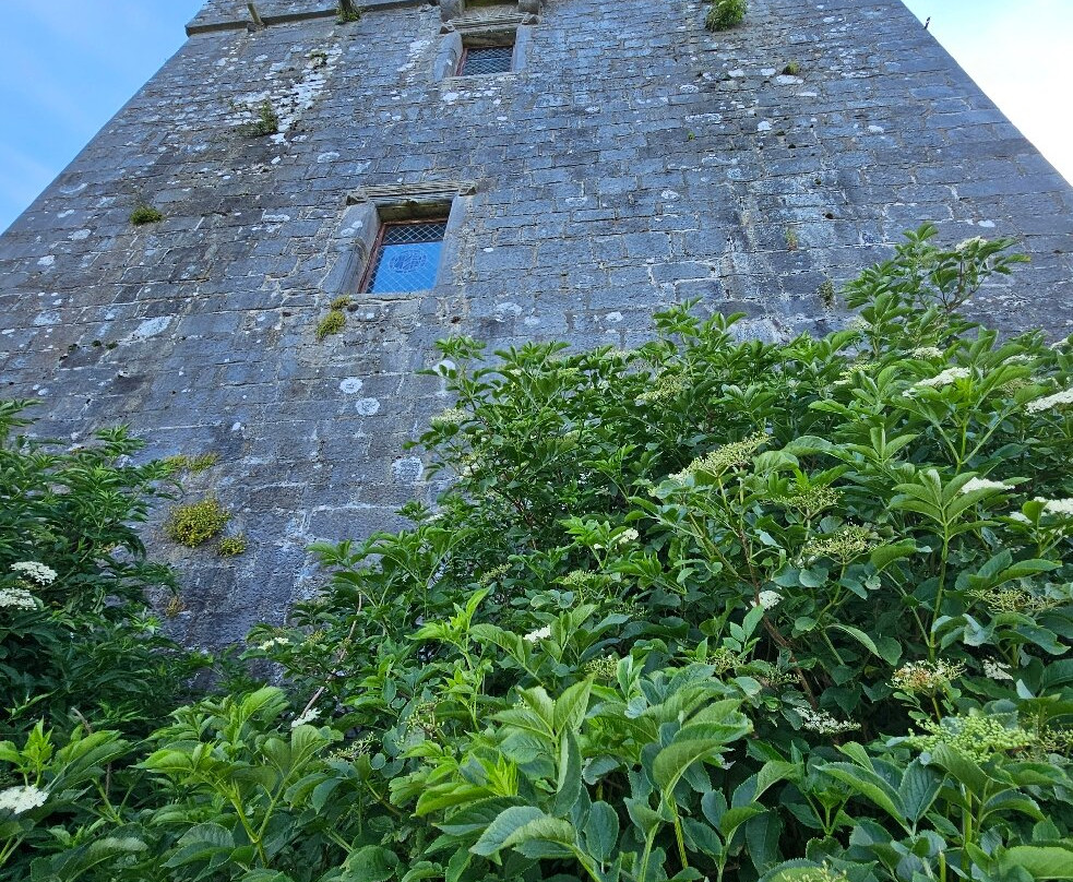 Dunguaire Castle's-戈尔韦必去景点