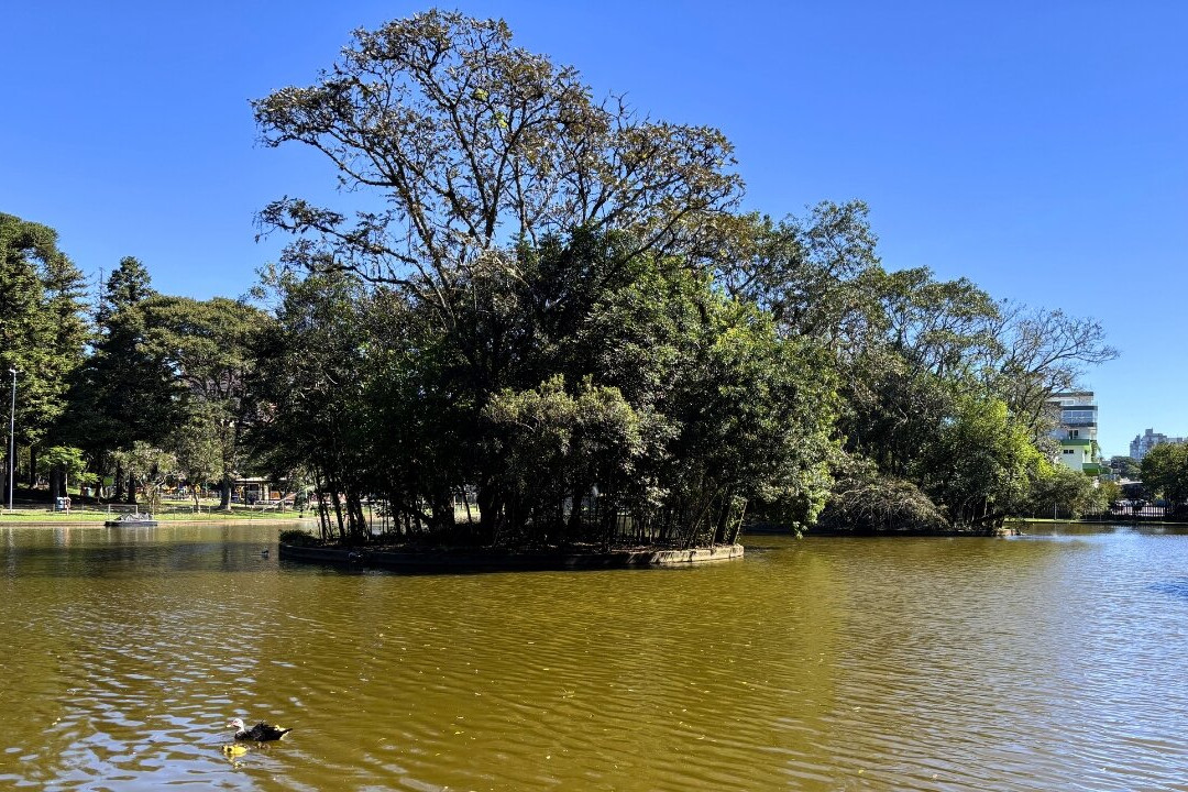 Parque dos Pinheiros-Farroupilha必去景点