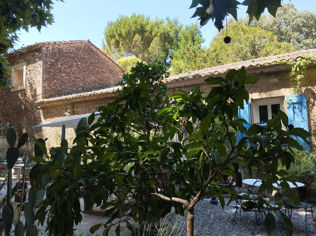 Cacha Restaurant
