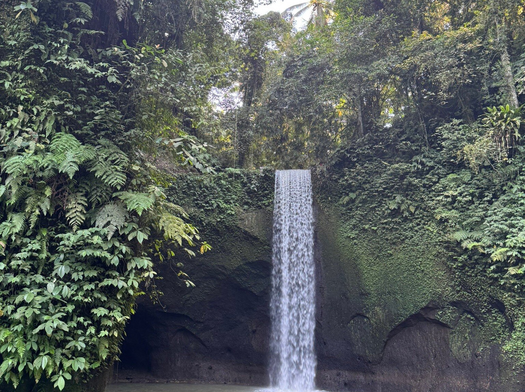 Happy Bali Tours-乌布必去景点