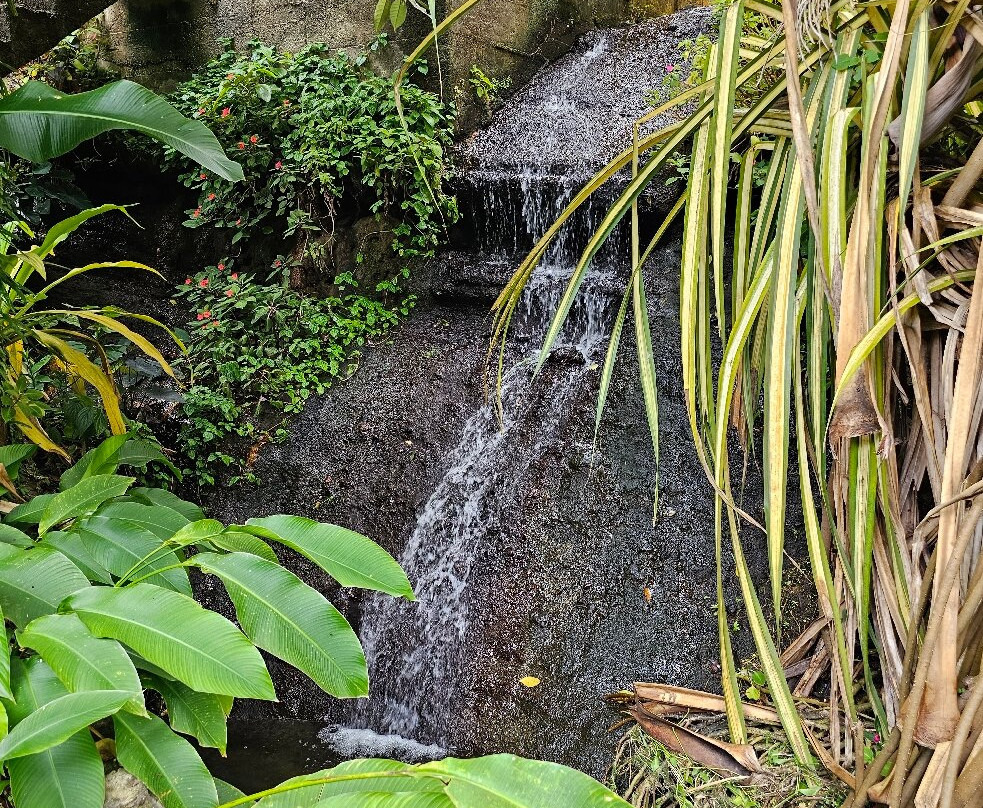 Concord Falls-格林纳达必去景点