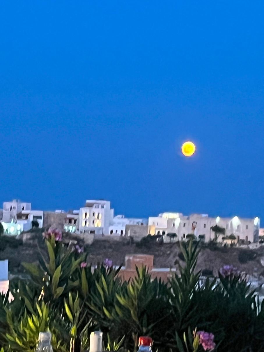 Hotel U'piddu-旅行者