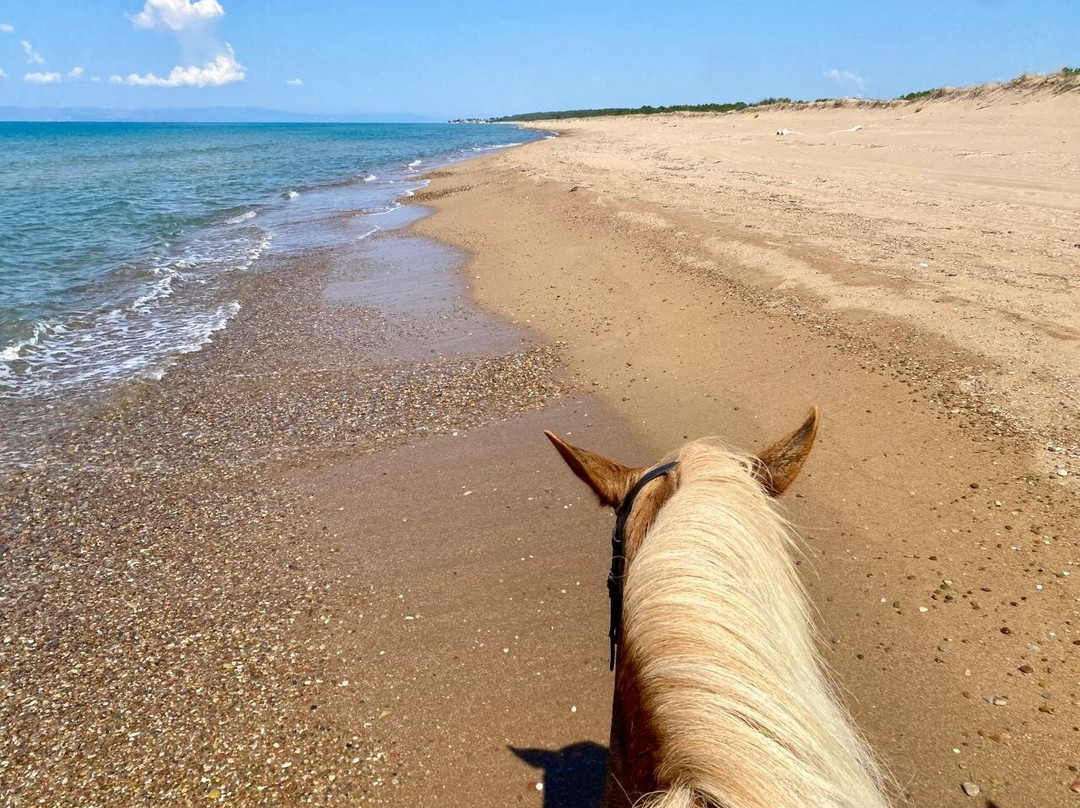 Savalia Horse Riding Club - Sport & Nature-Savalia必去景点