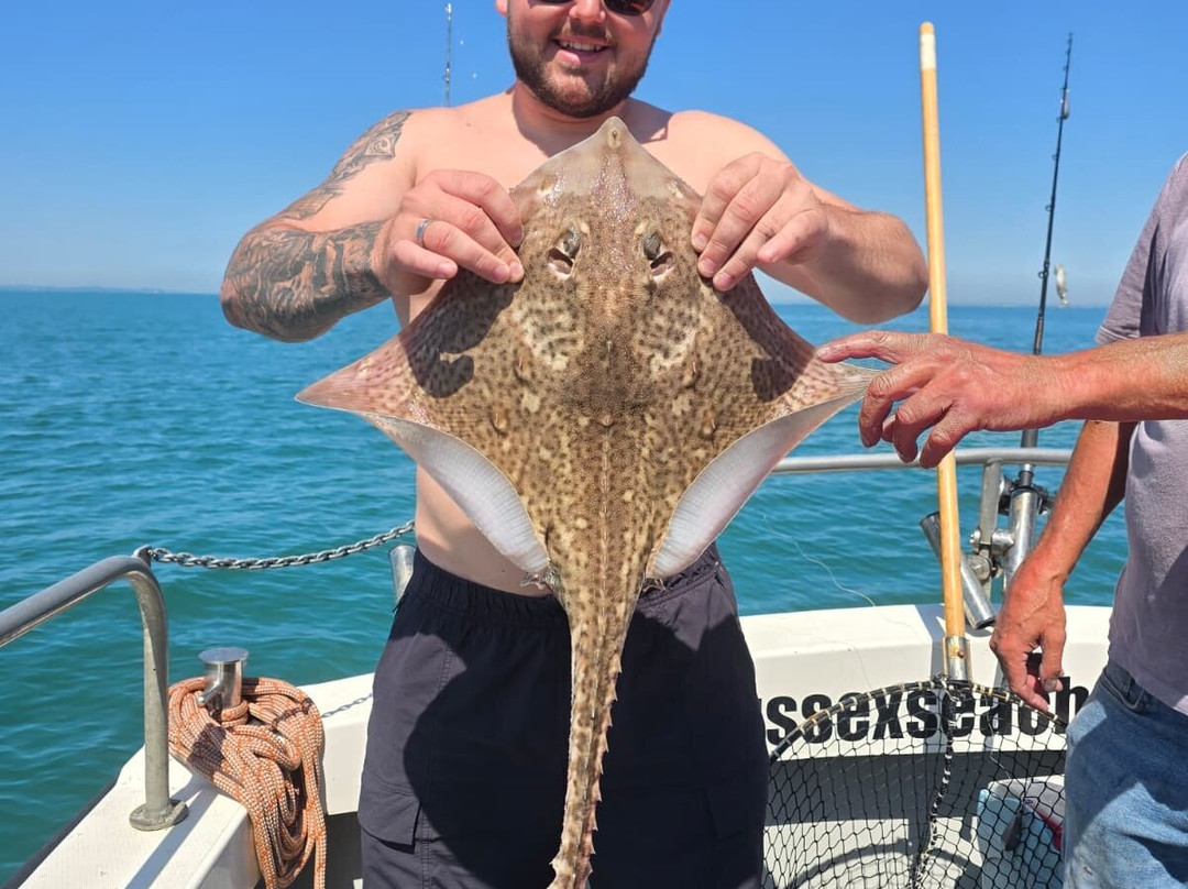 Sussex Sea Charters-West Itchenor必去景点