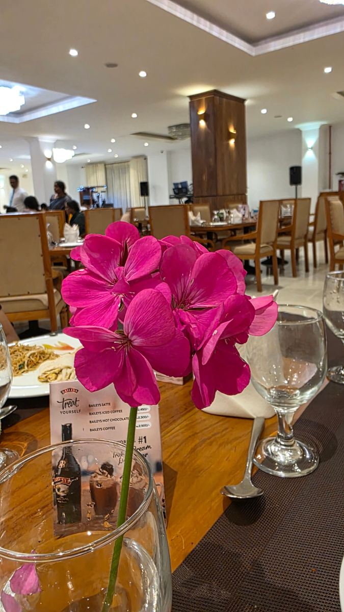 阿拉利亚绿城酒店-旅行者