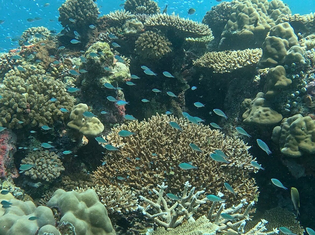 Euro-Divers Eri Maldives-马累北环礁必去景点
