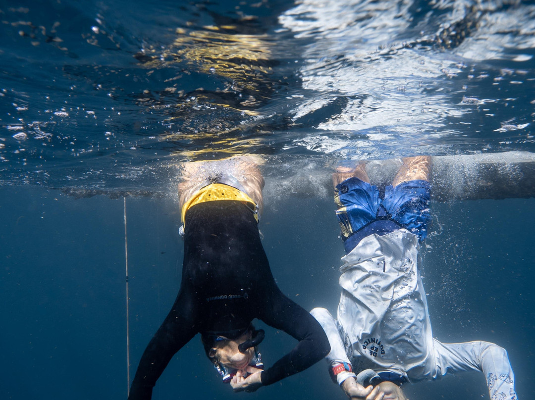 Deep Dominica Freediving-Soufriere必去景点