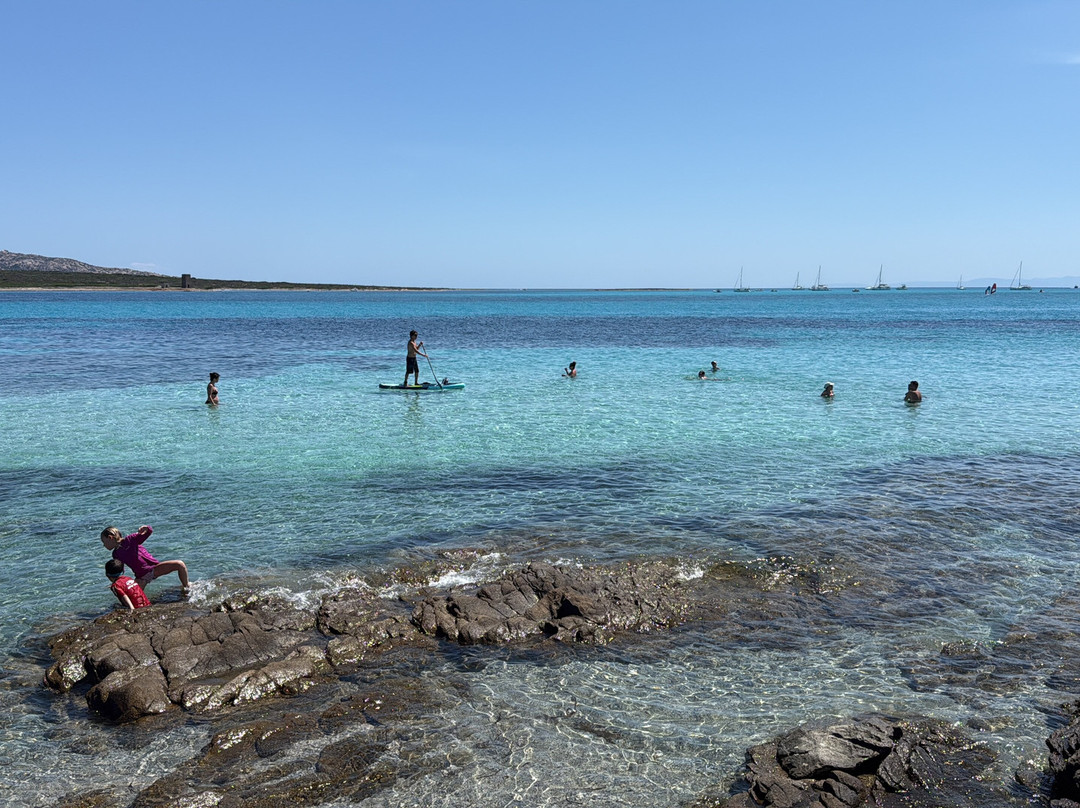 La Pelosa Beach-斯廷蒂诺必去景点