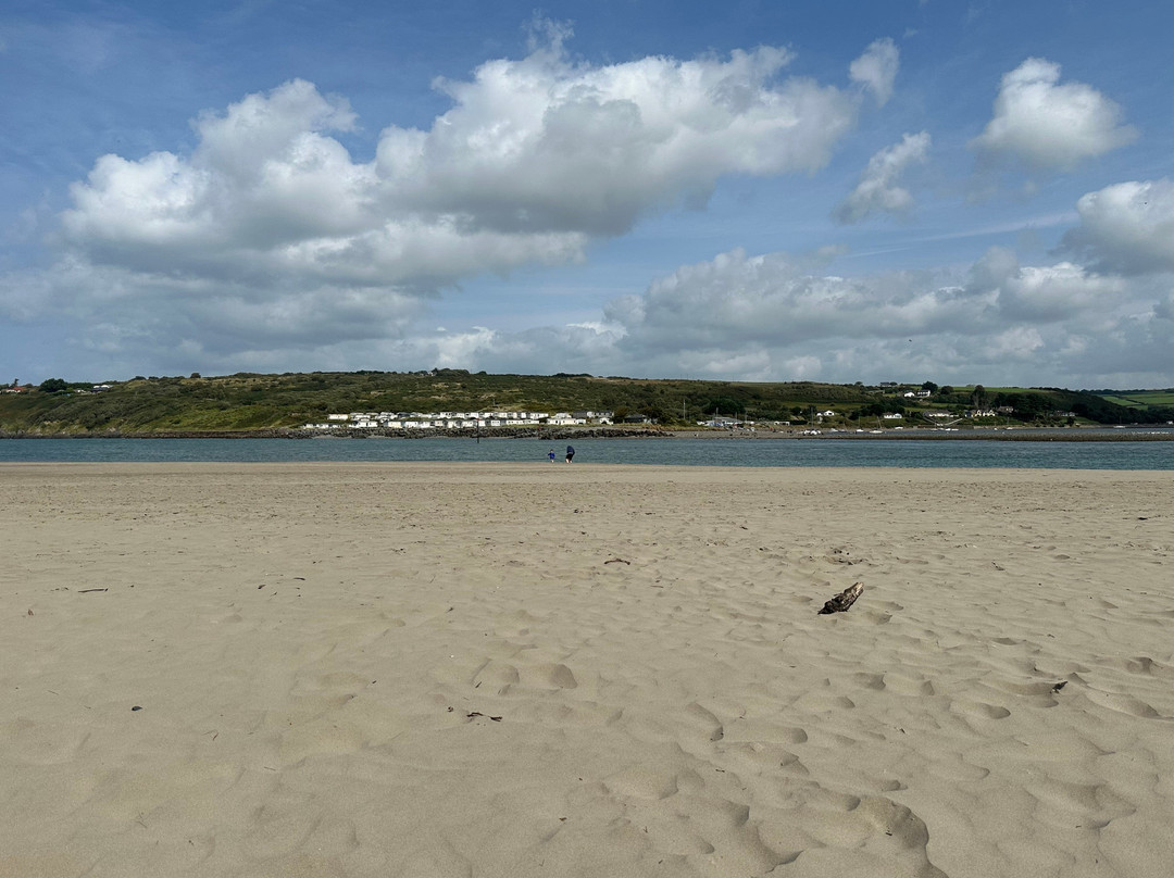 Teifi Waterside Hotel主图