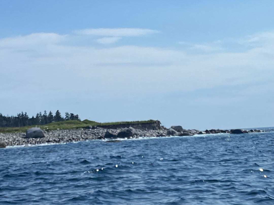 Liverpool Adventure Outfitters-Brooklyn必去景点