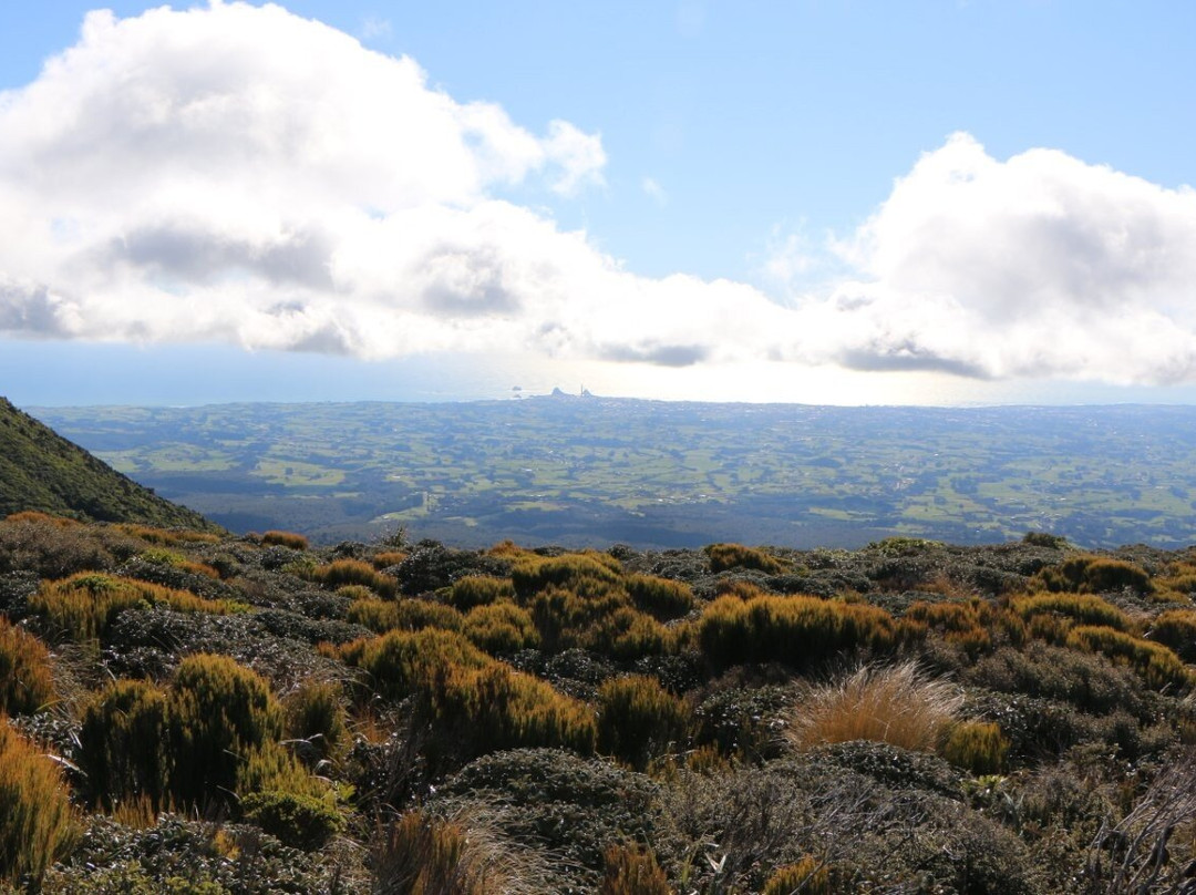Pouakai Circuit-Egmont National Park必去景点
