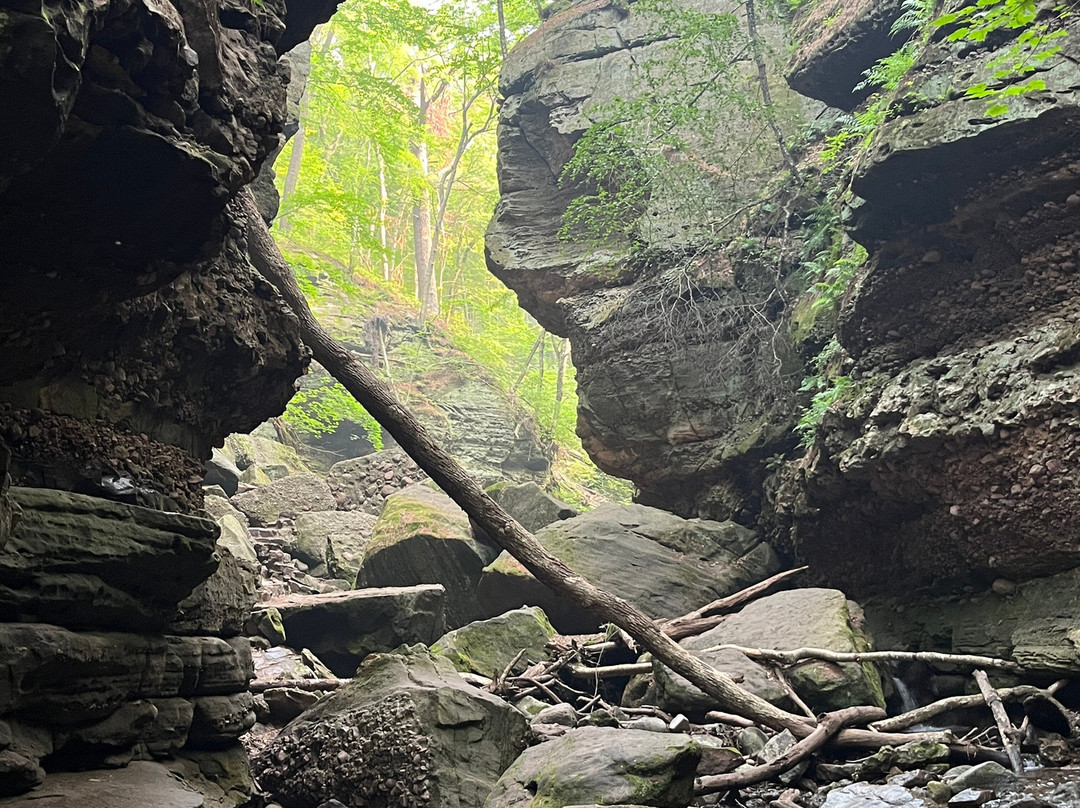 Parfrey's Glen-巴拉布必去景点