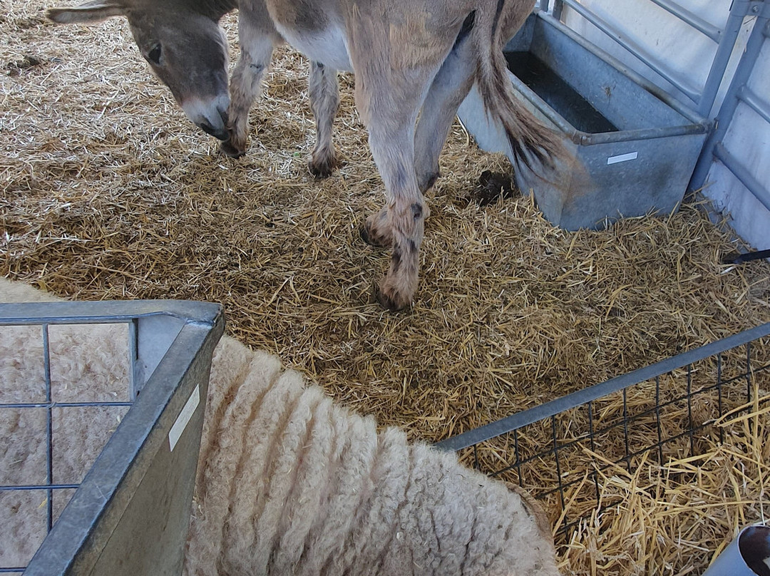 Glebe Farm Astbury-康格尔顿必去景点