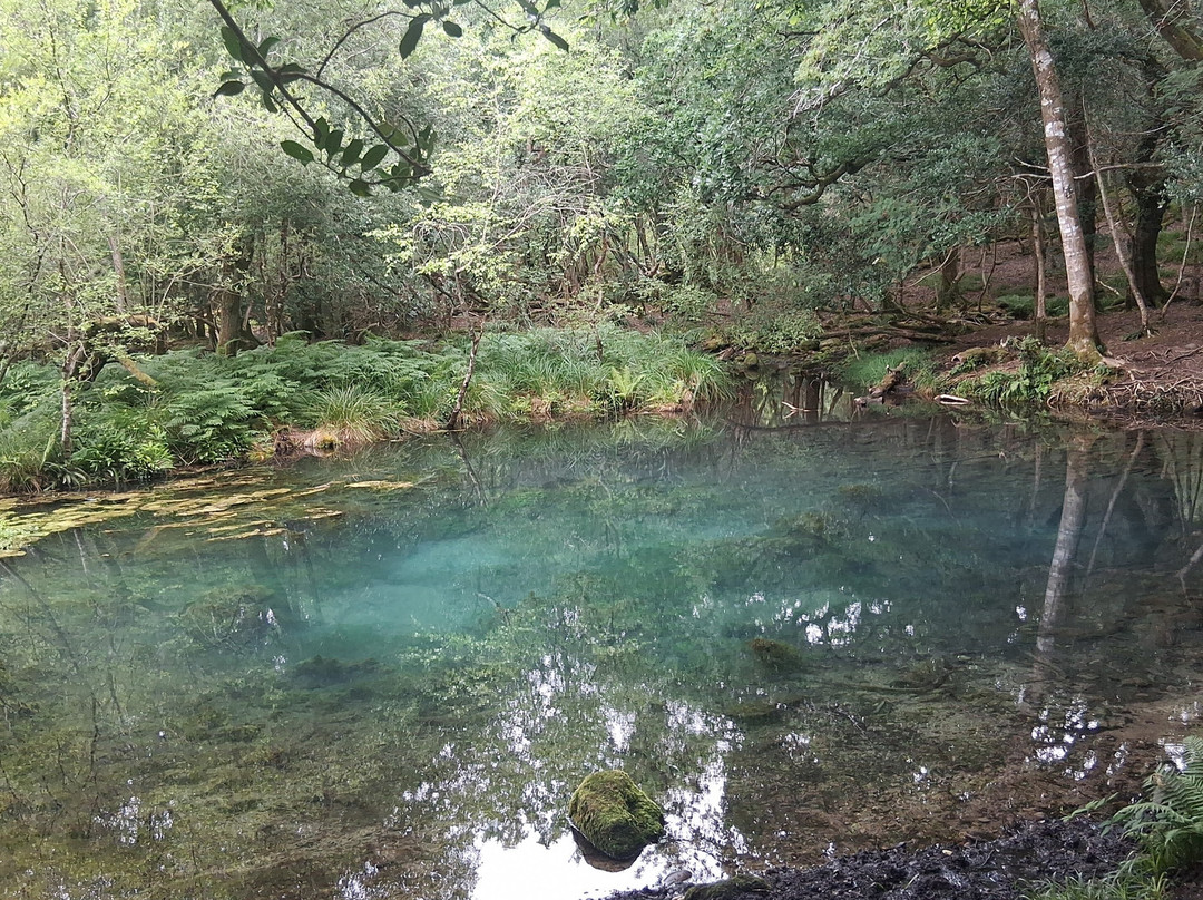 Cloghereen Blue Pool Walk-基拉尼必去景点