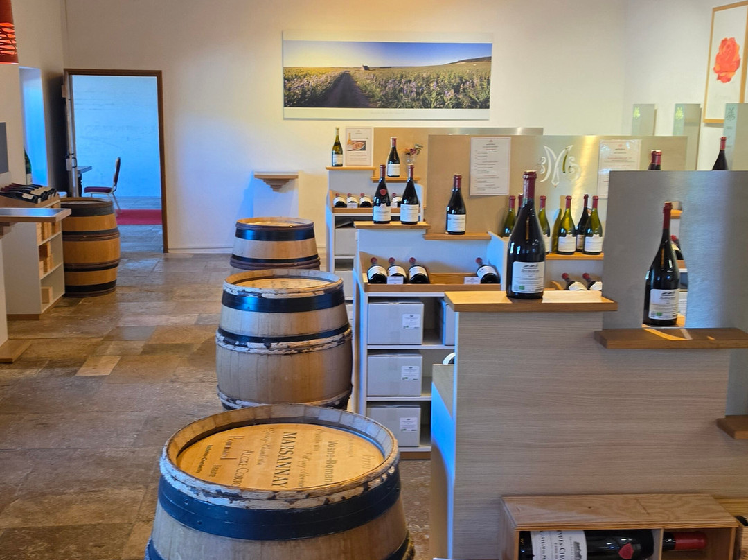 Château de Marsannay-马沙内丘必去景点
