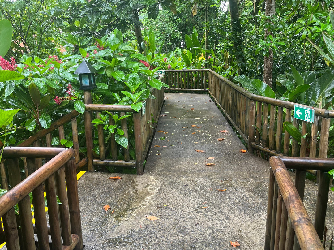 Best of Costa Rica DMC-圣何塞必去景点