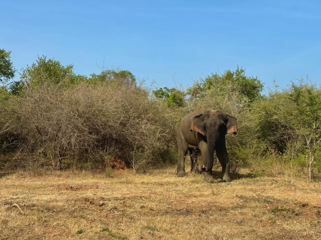 Come Visit Sri Lanka-康提必去景点