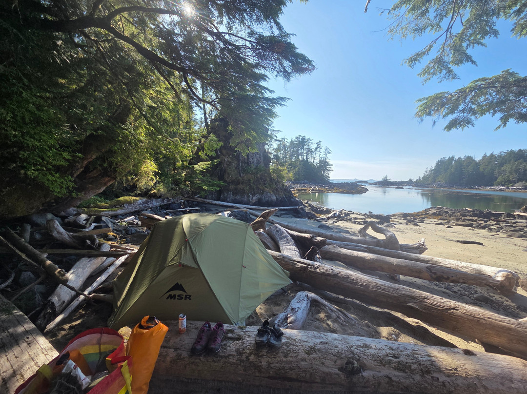 Kingfisher Wilderness Adventures-Port McNeill必去景点