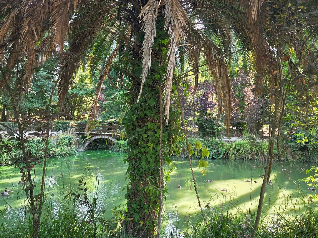 Parque Infante D. Pedro-阿威罗必去景点
