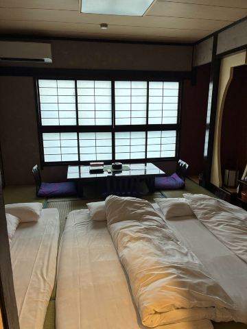 旗松亭国际观光饭店-客卧