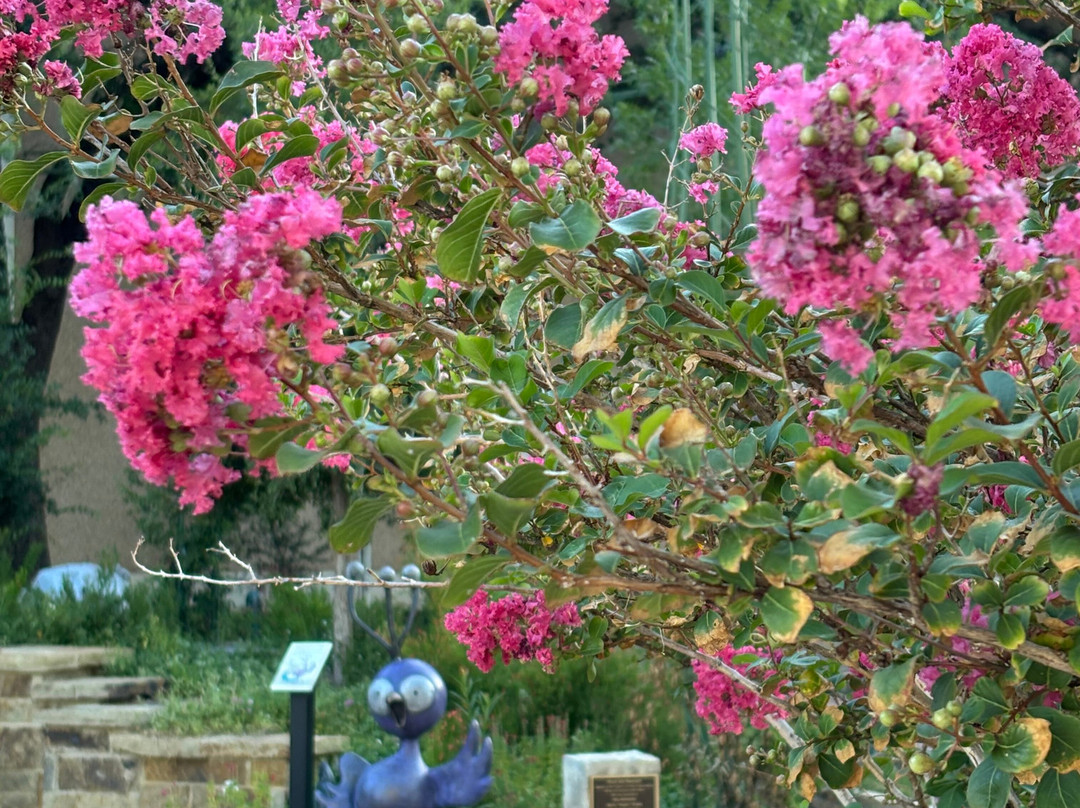 Adamson-Spalding Storybook Garden-阿比林必去景点