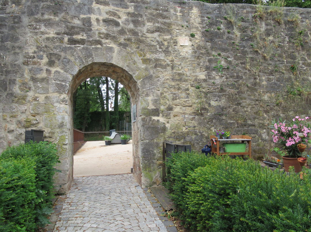 Violinenstraße-Korbach必去景点