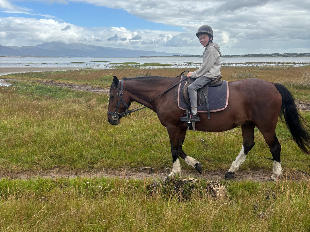 Rossbeigh Beach Horse Riding Centre-Glenbeigh必去景点