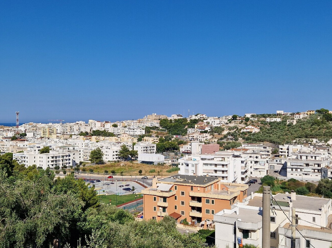 星光灿烂花园住宿加早餐旅馆主图