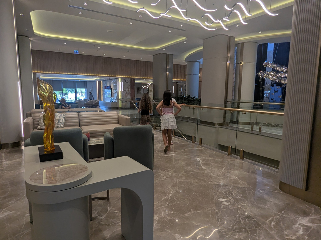 德尔芬迪瓦高级酒店主图