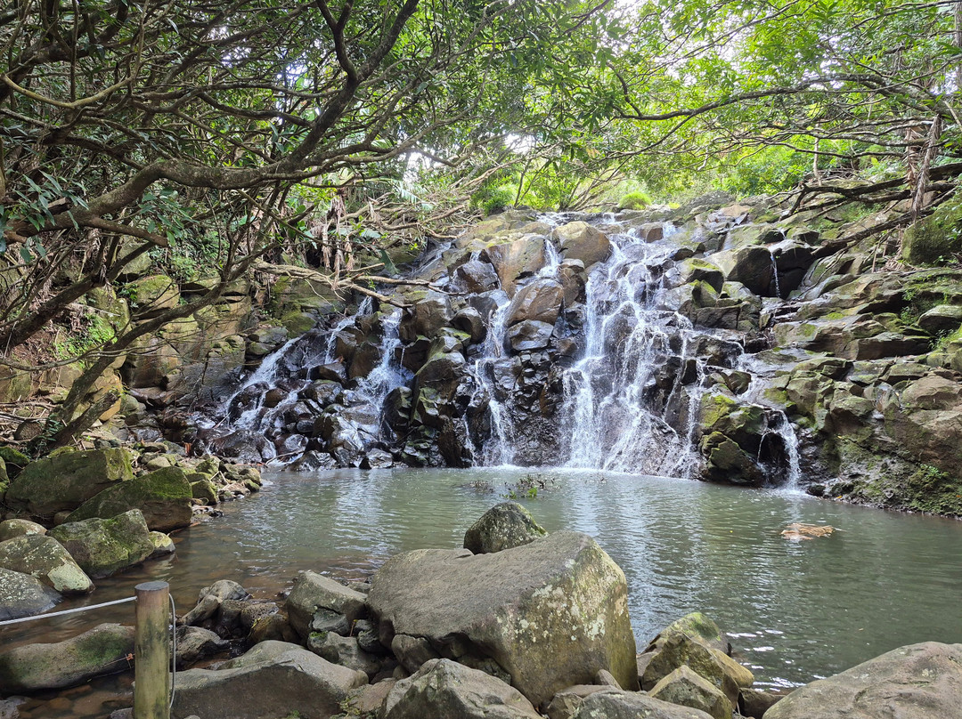 Vallé Advenature Park-Chamouny必去景点