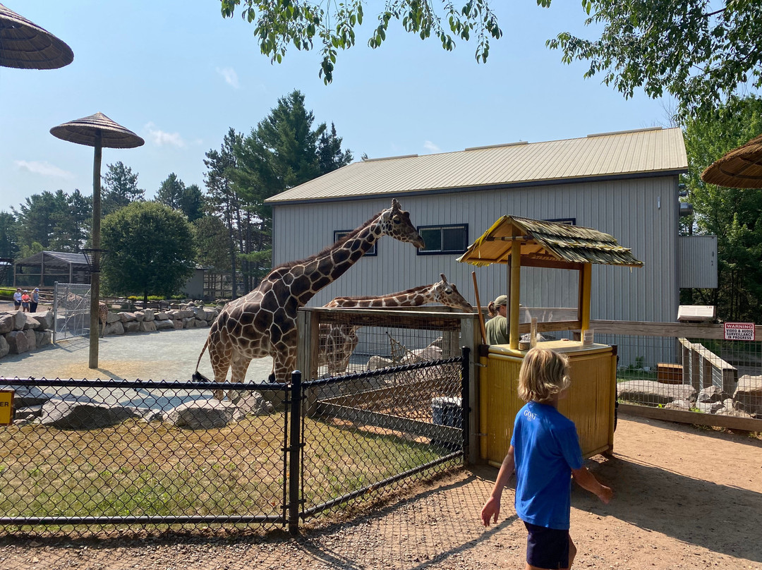 Wildwood Wildlife Park & Nature Center-Minocqua必去景点