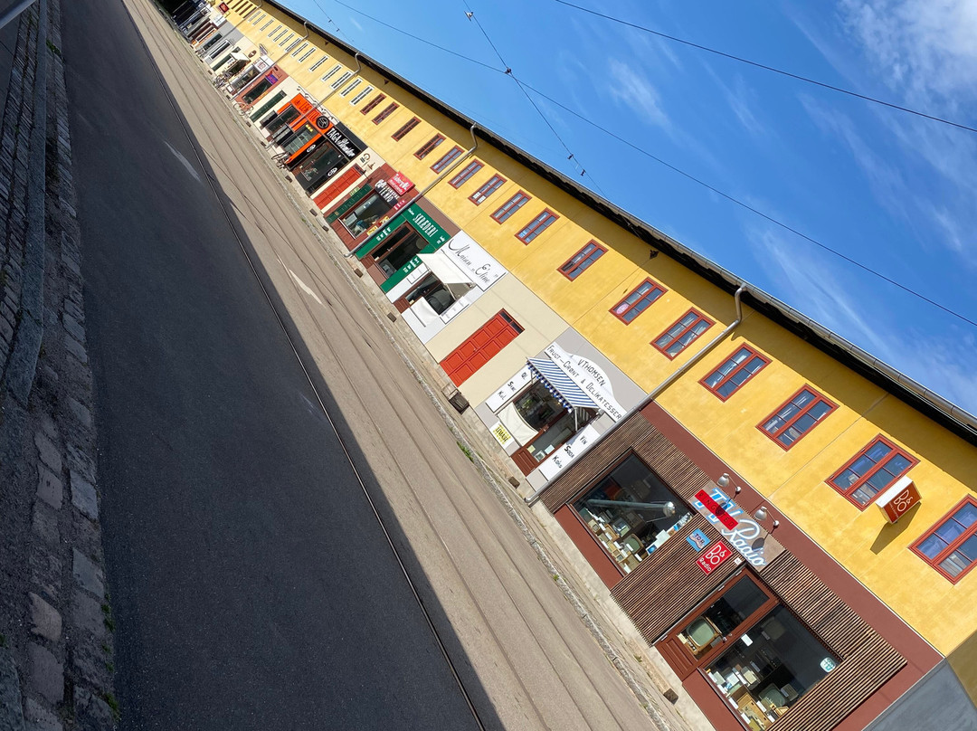 Sporvejsmuseet Skjoldenaesholm-灵斯泰德必去景点