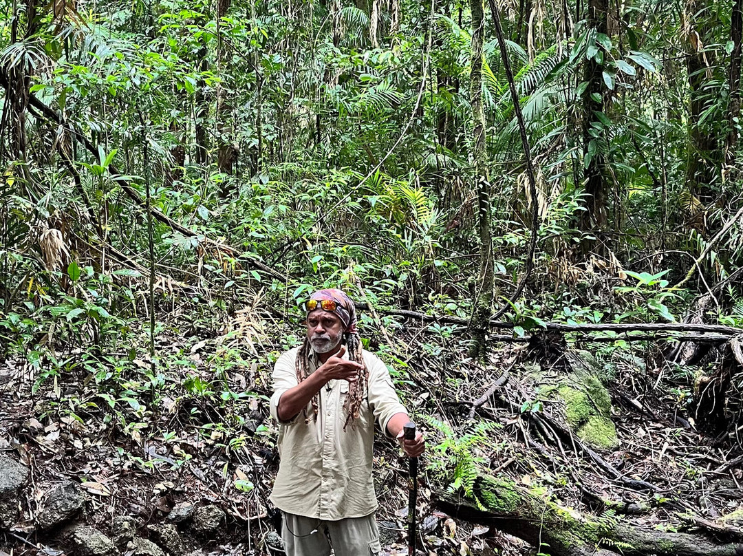 Mossman Gorge Cultural Centre-丹特里区必去景点