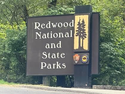 Redwood Highway-尤里卡必去景点
