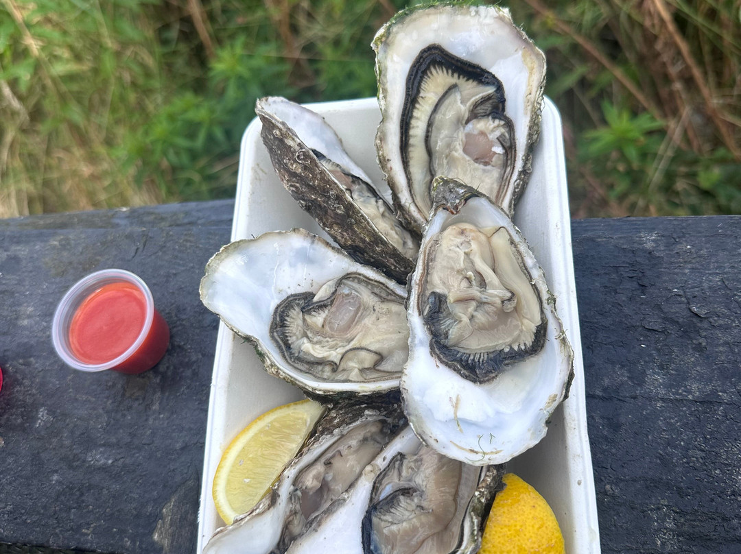 The Oyster Shed-Carbost必去景点