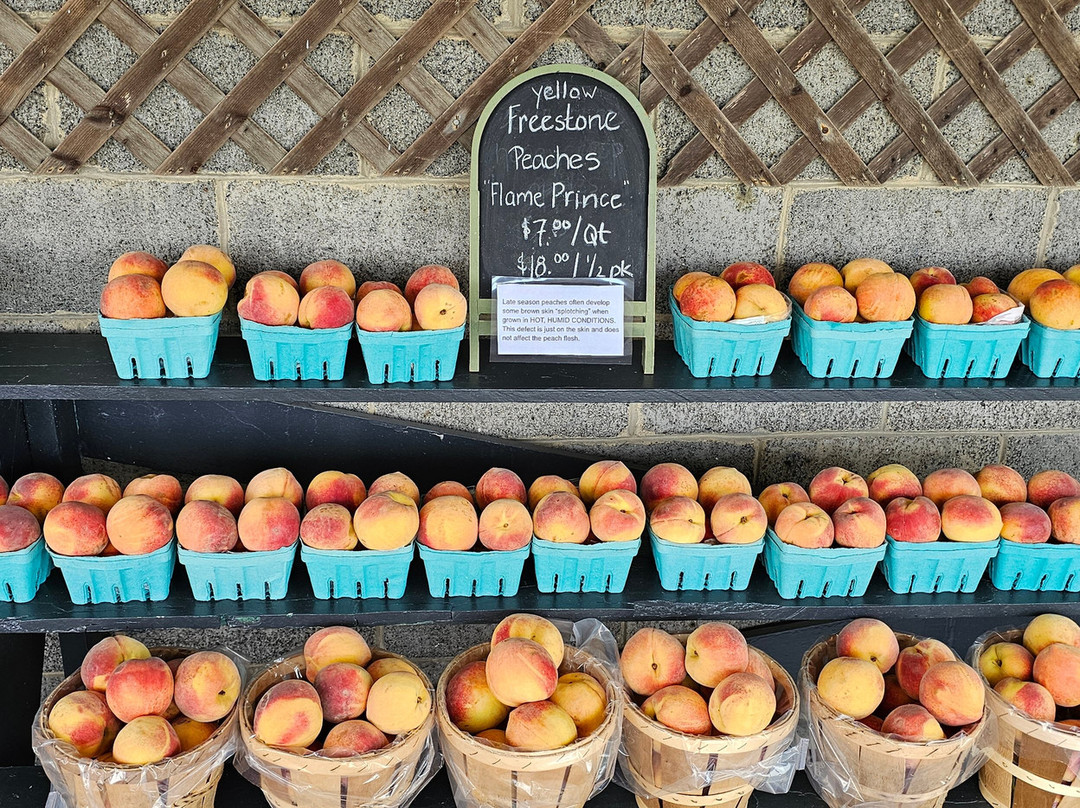 Shaw Orchards-Stewartstown必去景点
