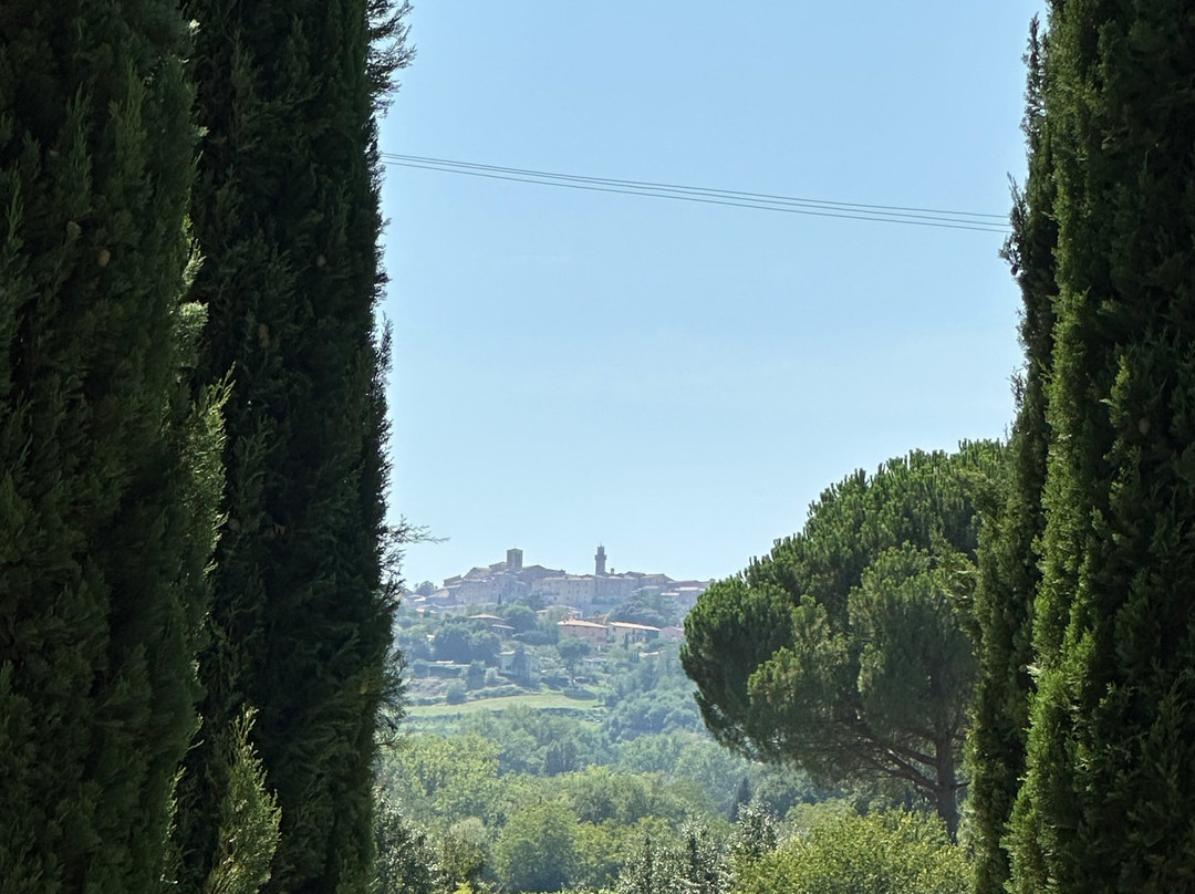 Tenuta Valdipiatta-蒙特普尔恰诺必去景点
