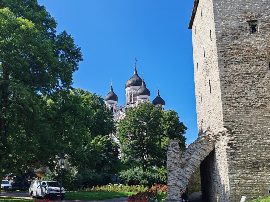 Danish King's Garden-塔林必去景点