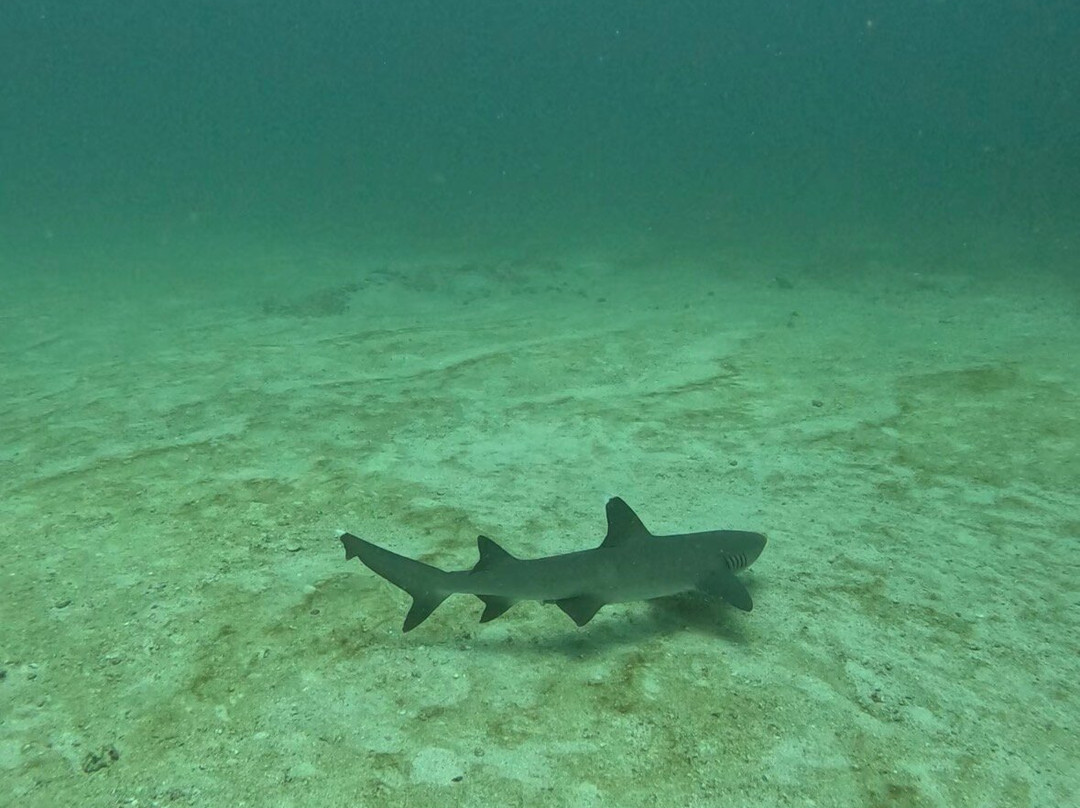 ChrisDiving, dive center Playa Potrero-波特雷罗必去景点