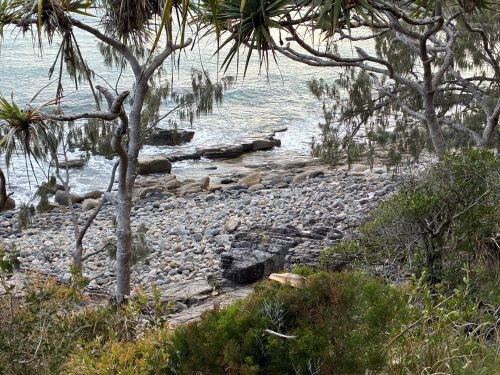 Tee Tree Bay Beach-努沙必去景点