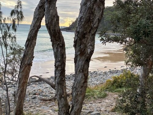 Tee Tree Bay Beach-努沙必去景点
