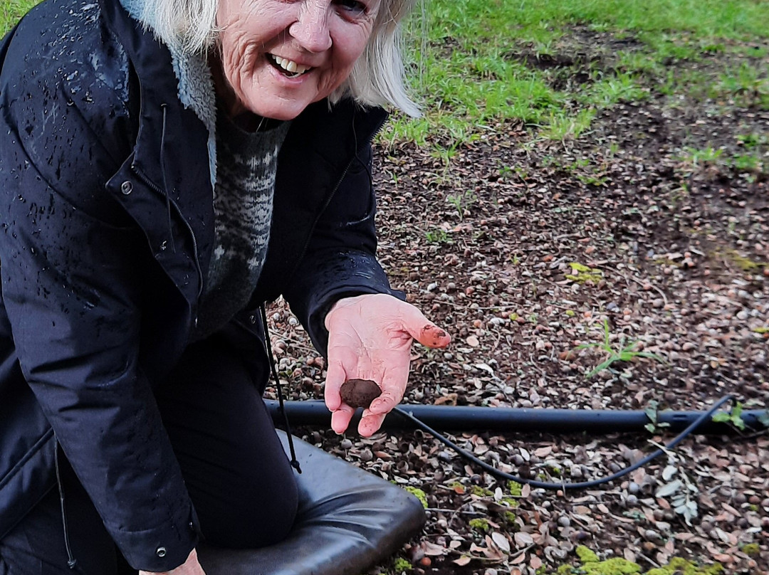 The Truffle Farm Tasmania-德洛兰恩必去景点